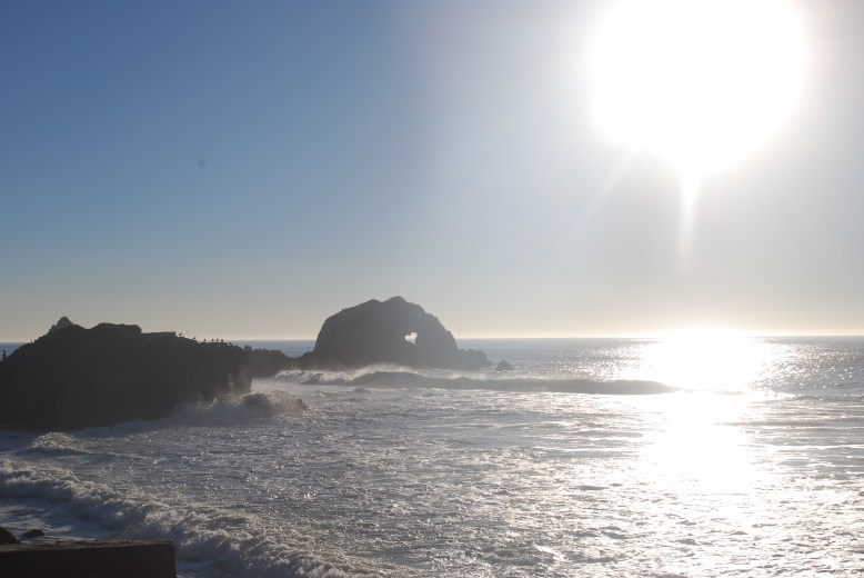 just a small reminder via a favorite walt whitman quote <3